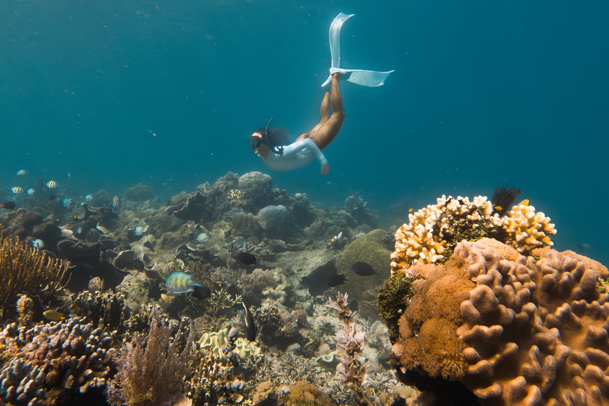 Snorkeling in Morotai, North Maluku, Indonesia